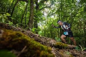 BIB: 3142
                            <button type="button" onclick="openModal(16009067)" class="btn btn-primary btn-sm float-right btn-popup" data-toggle="modal" data-target=".modal-high-quality">
                        <i class="fas fa-shopping-cart"></i> Add to Cart
                    </button>
                                            <button type="button" onclick="isThisMe(16009067, true)" class="btn btn-success btn-sm float-right btn-popup btn-isme hidden" data-toggle="tooltip" data-placement="bottom" title="นี่คือรูปของคุณใช่ไหม คลิกที่นี่เพื่อเอาเข้าอัลบั้ม">
                        <i class="fas fa-plus"></i> Add to album
                    </button>
                    <button type="button" onclick="isThisMe(16009067, false)" class="btn btn-warning btn-sm float-right btn-popup btn-isnotme hidden">
                        <i class="fas fa-ban"></i> Remove from album
                    </button>